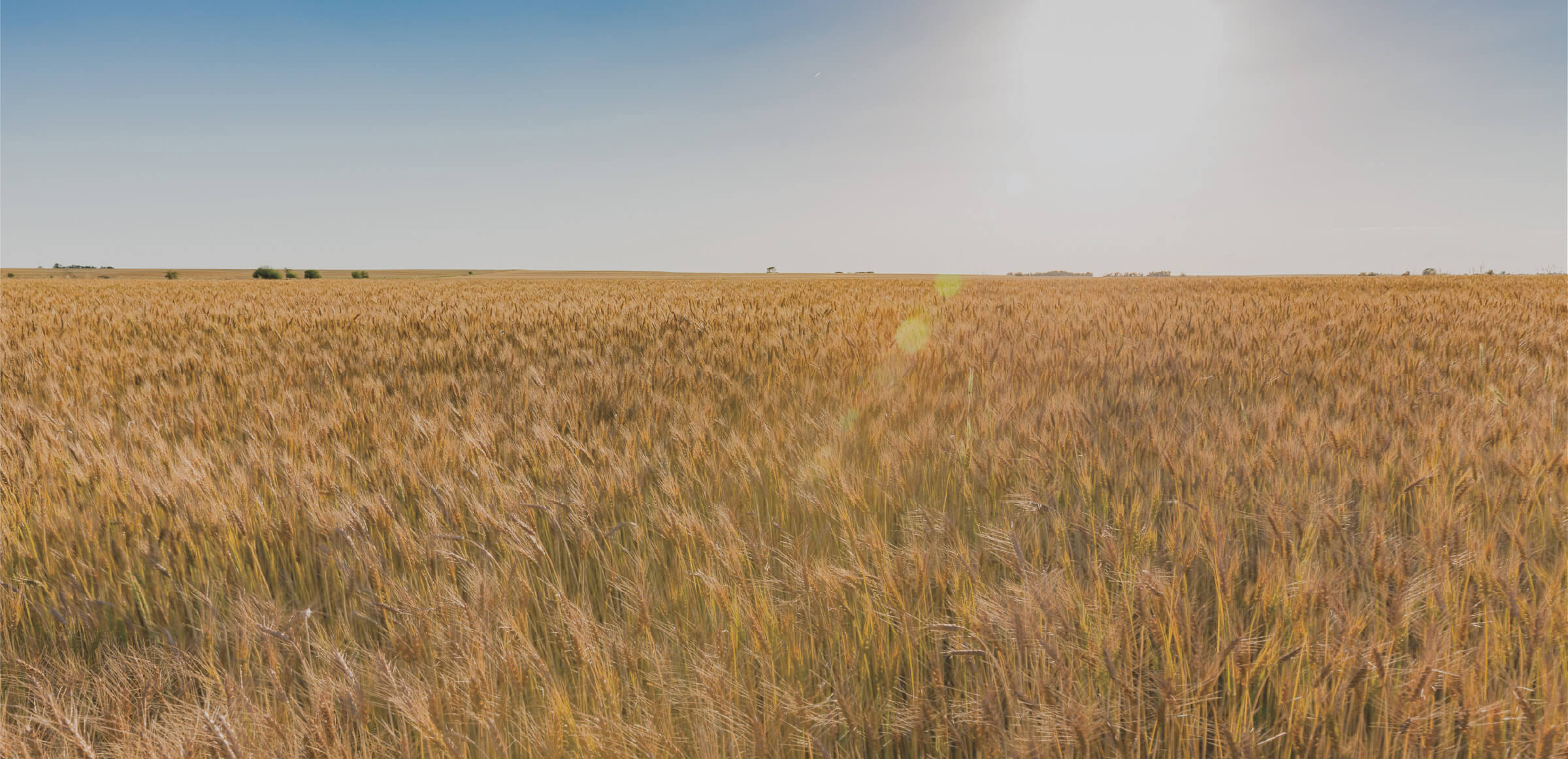 img-header